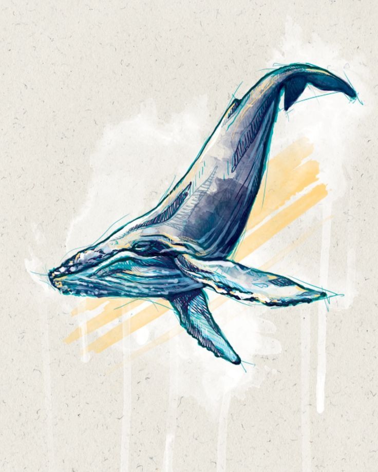 Watercolor Whale Art Design