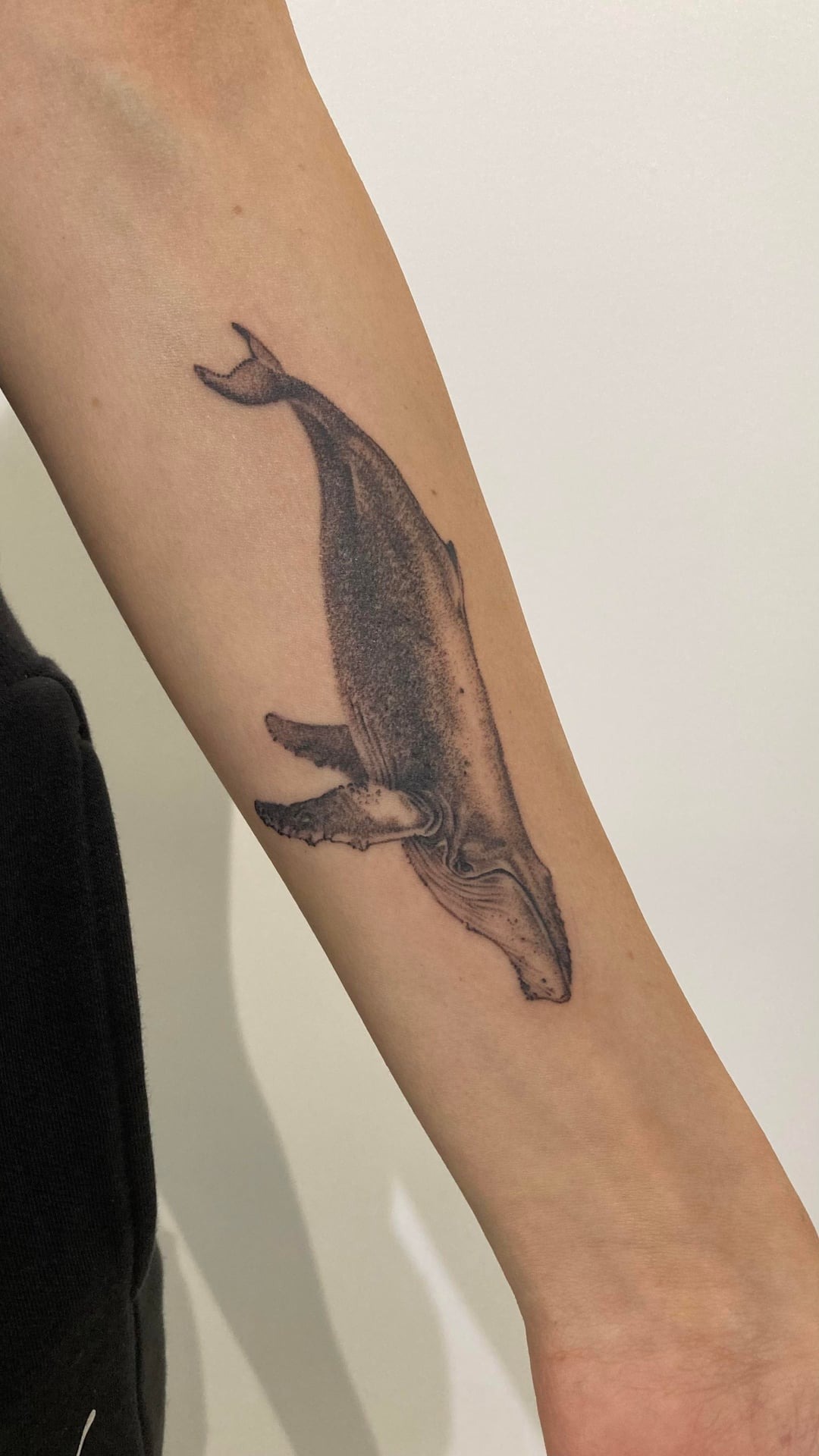 Minimalist Dotwork Whale Tattoo