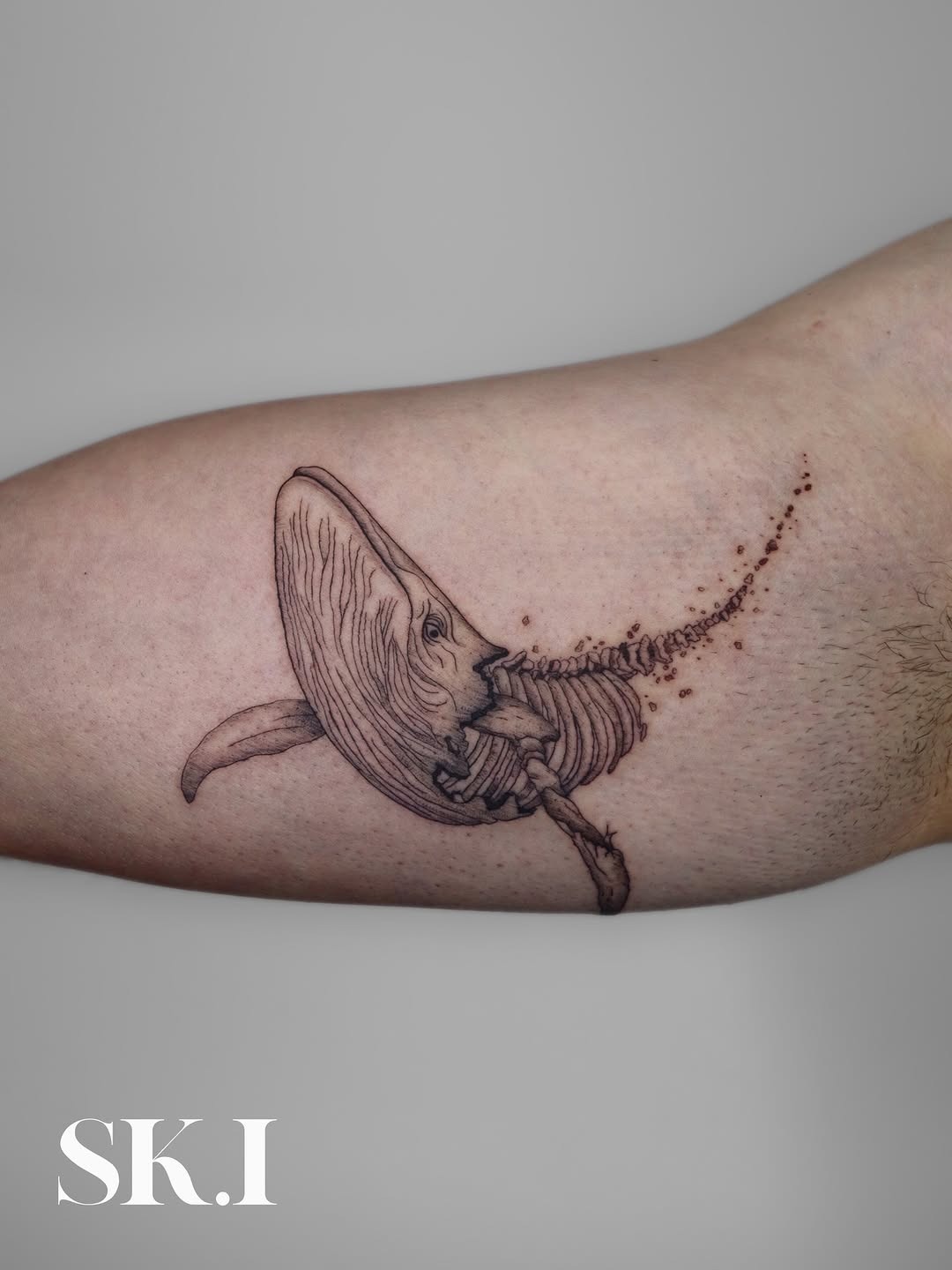 Intricate Whale Skeleton Tattoo