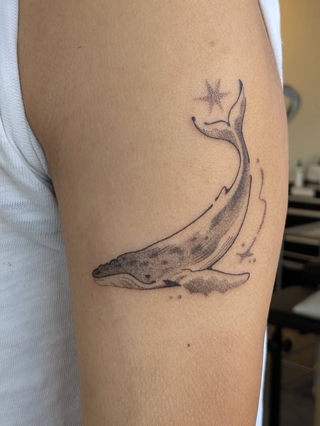 Simple Illustrative Whale Art