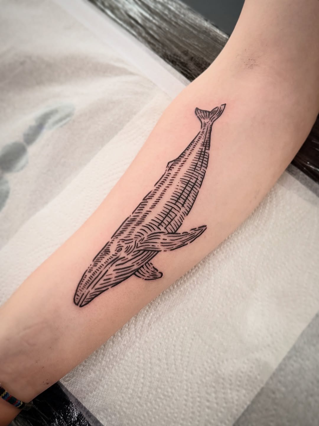 Detailed Etching Style Whale Tattoo