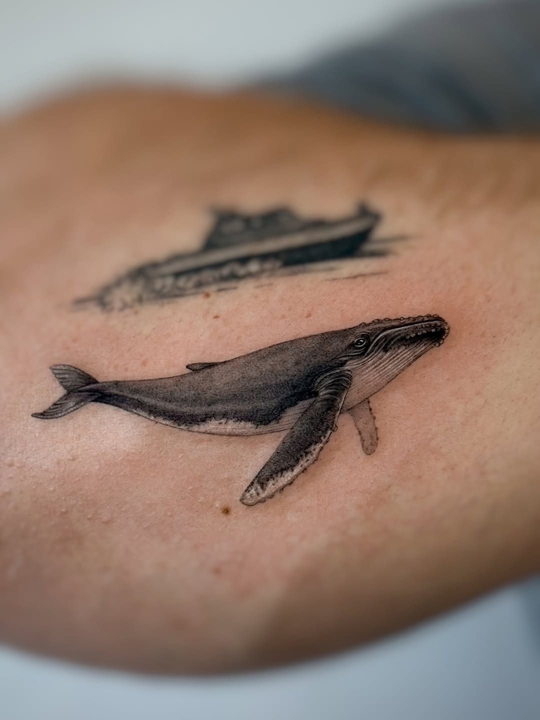 Realistic Humpback Whale Tattoo