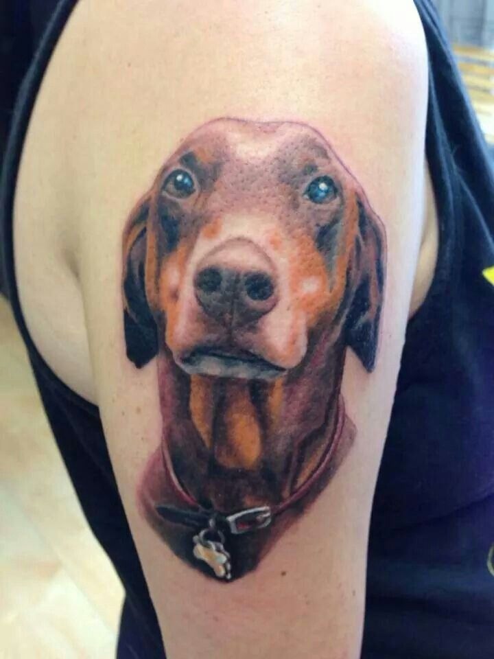 Traditional Doberman Portrait Tattoo