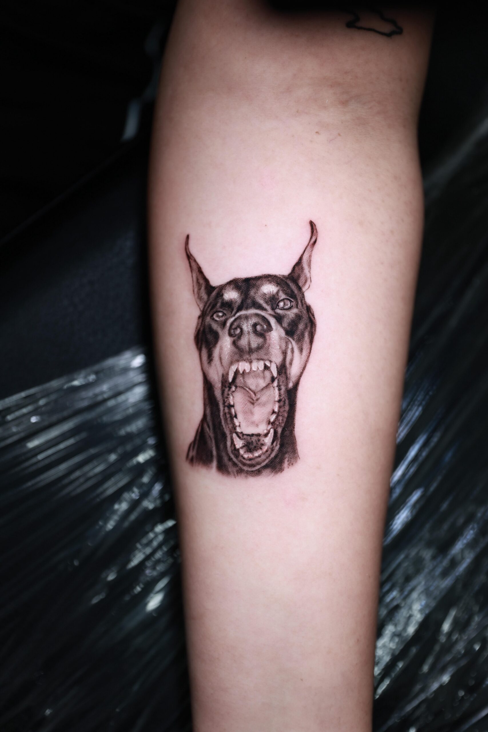 Detailed Doberman Barking Tattoo