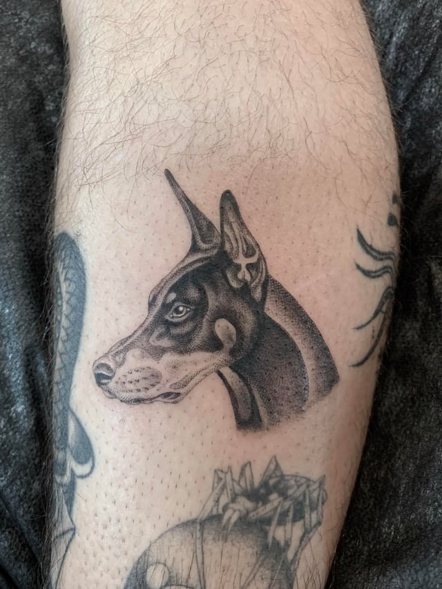 Intricate Doberman side-profile ink