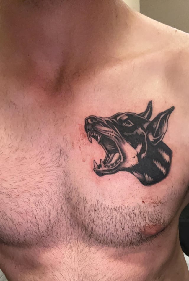Menacing Doberman chest tattoo piece