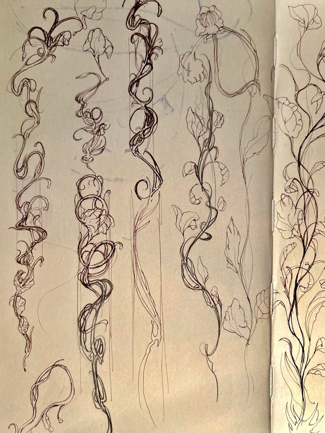 Intricate Botanical Tattoo Concept Sketches