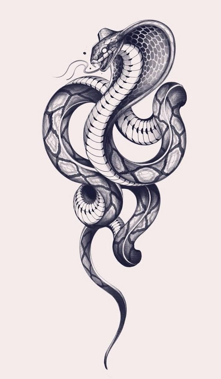 Intricate Cobra Tattoo Flash Art