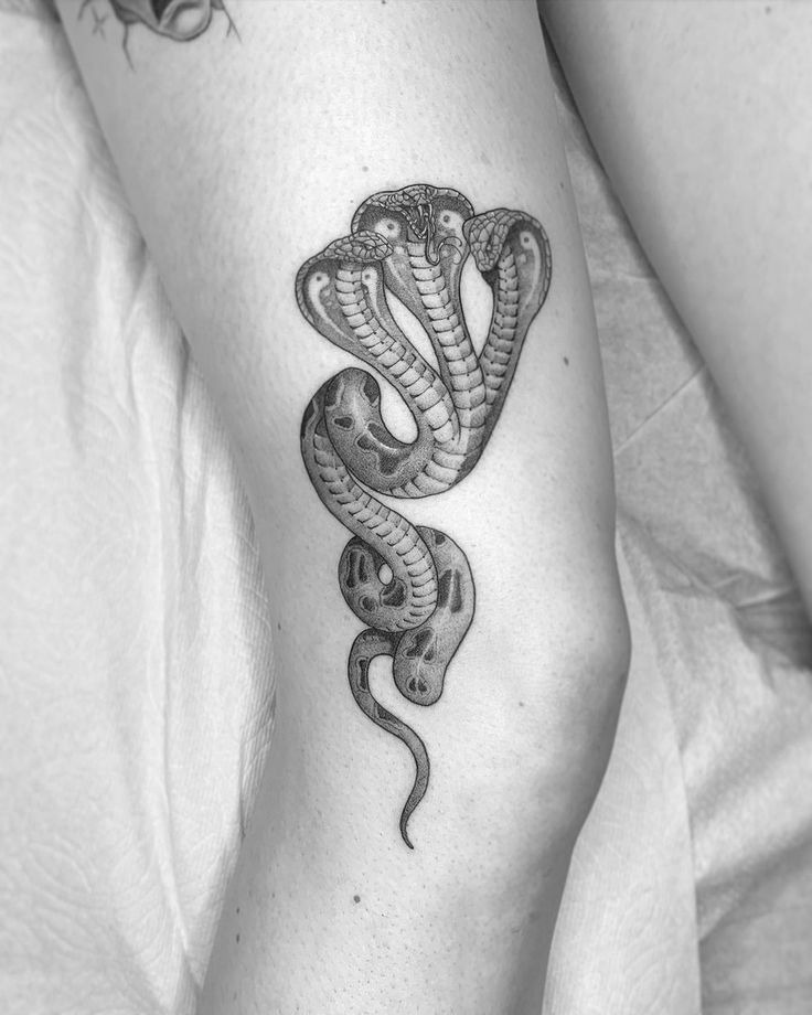 Unique Multi-Headed Cobra Tattoo Design