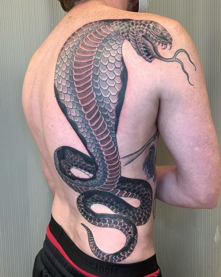 Stunning Cobra Back Piece