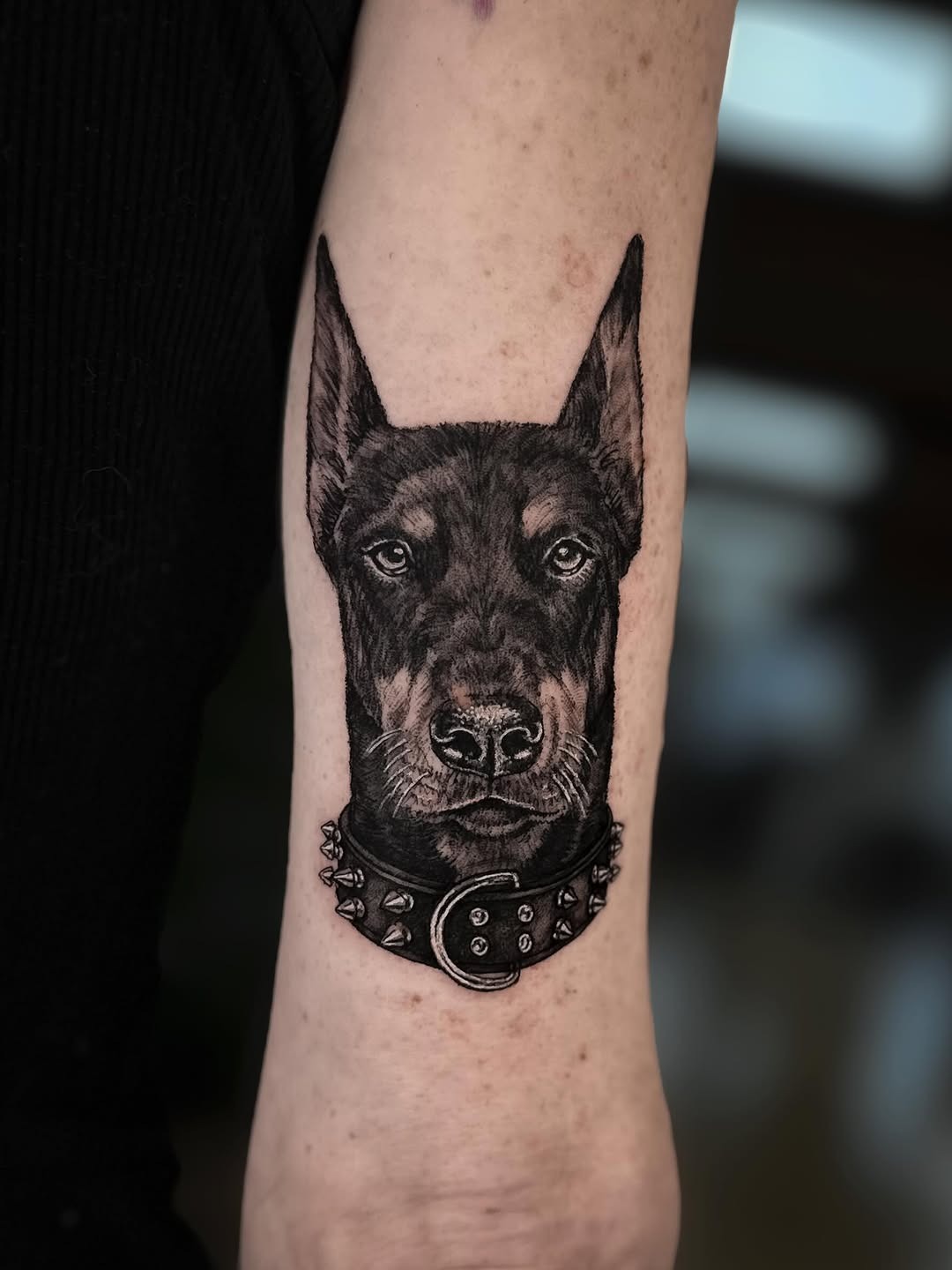 Detailed Doberman portrait tattoo
