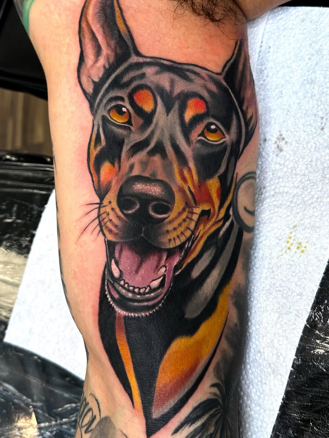 Bold and Colorful Doberman Art