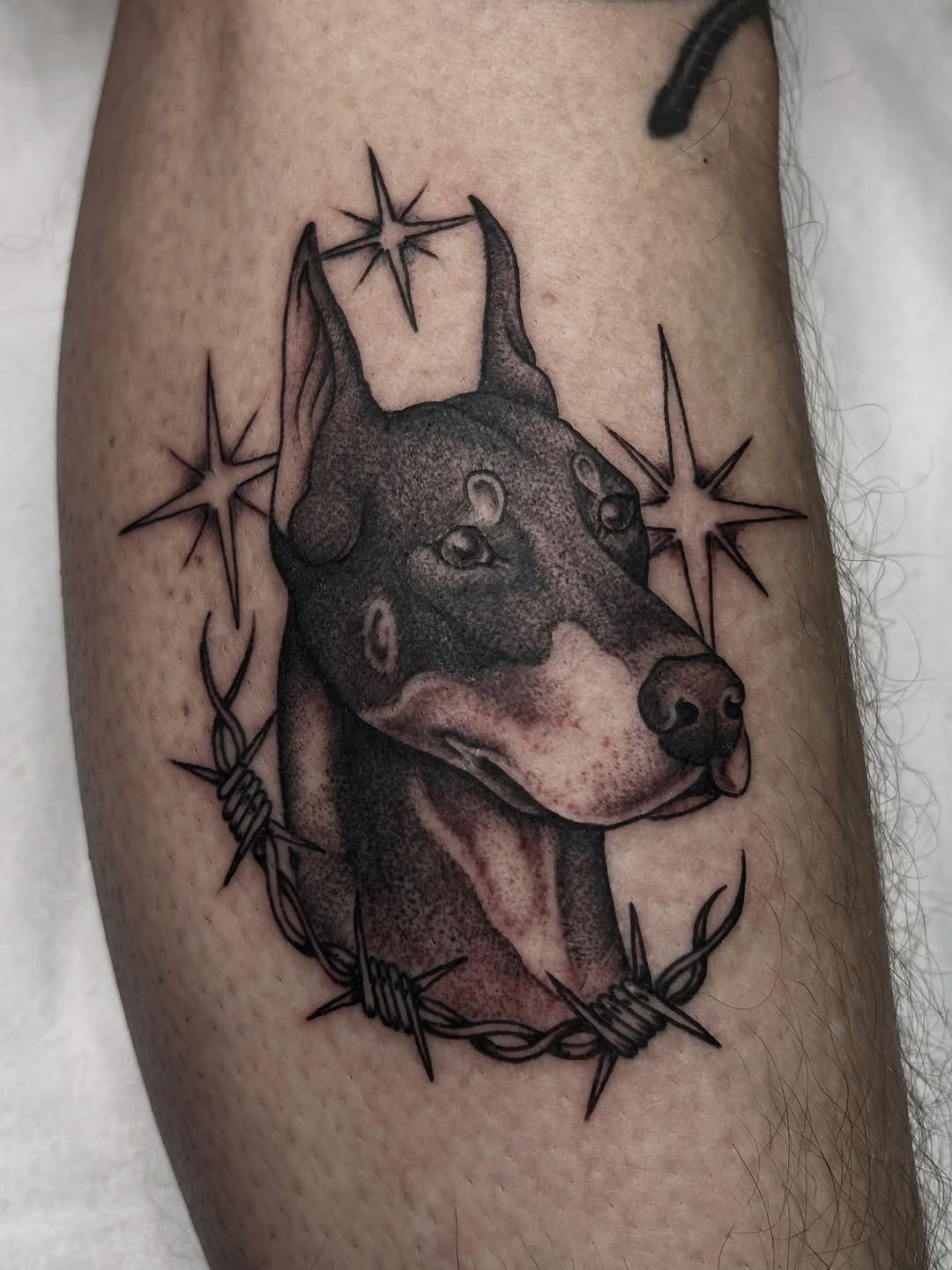 Edgy Doberman tattoo with stars