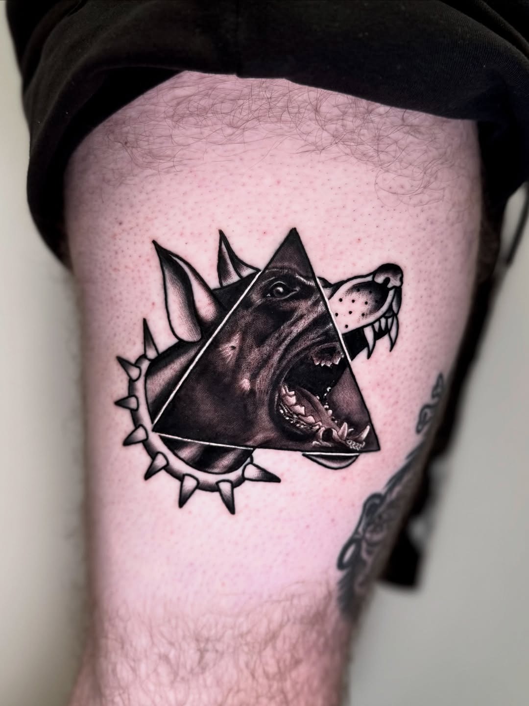 Geometric Style Doberman Design