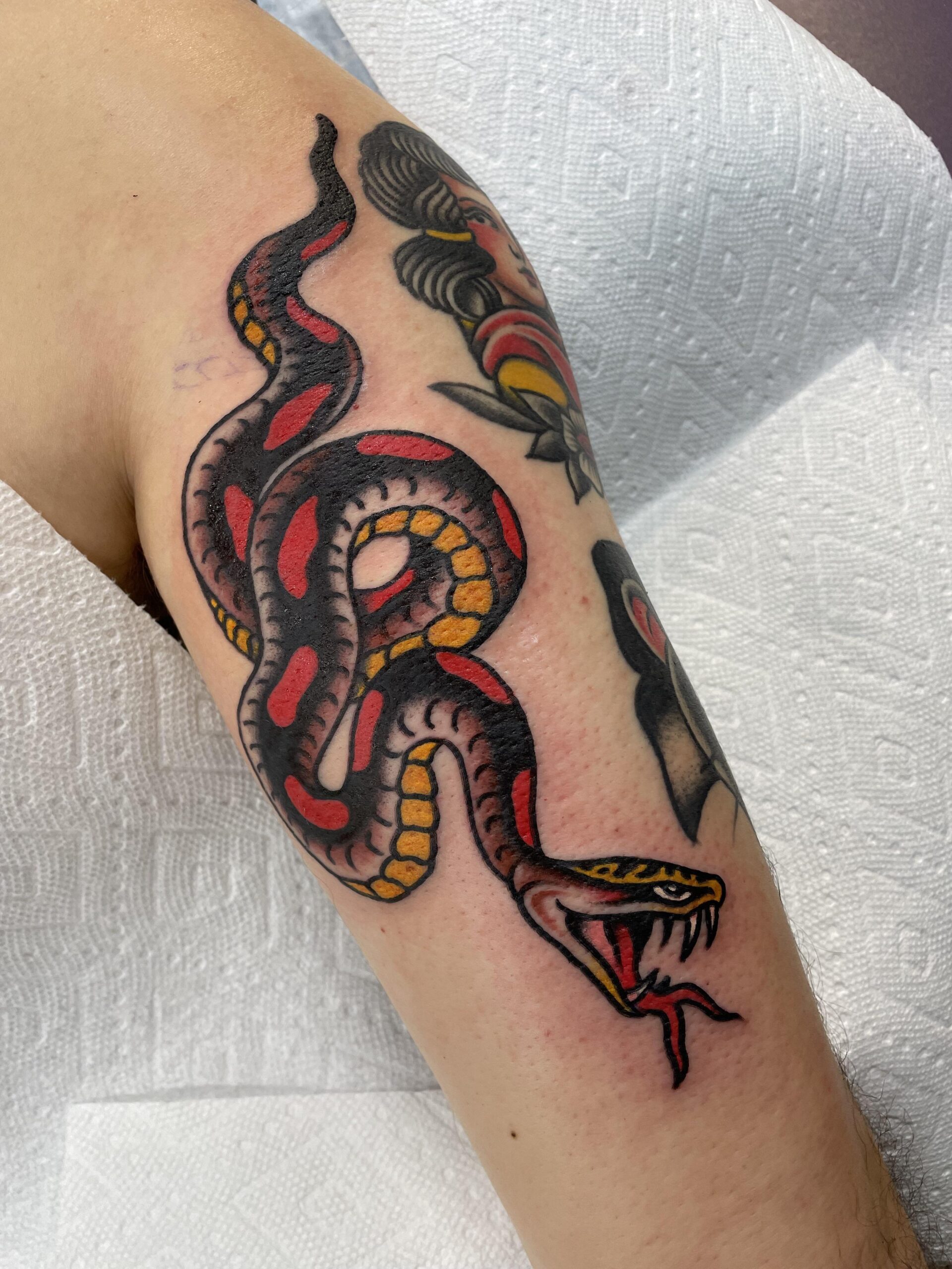 Vibrant Traditional Cobra Ink