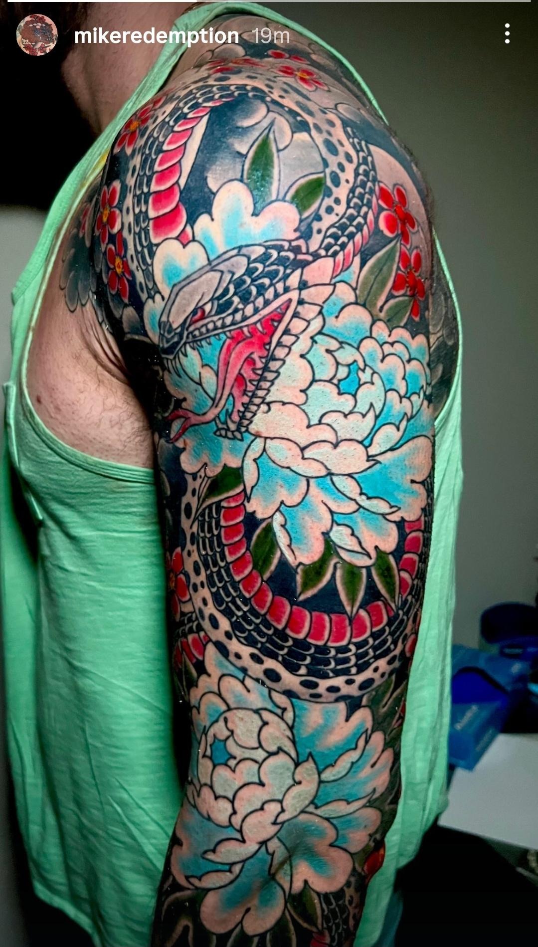 Colorful Cobra Sleeve Art