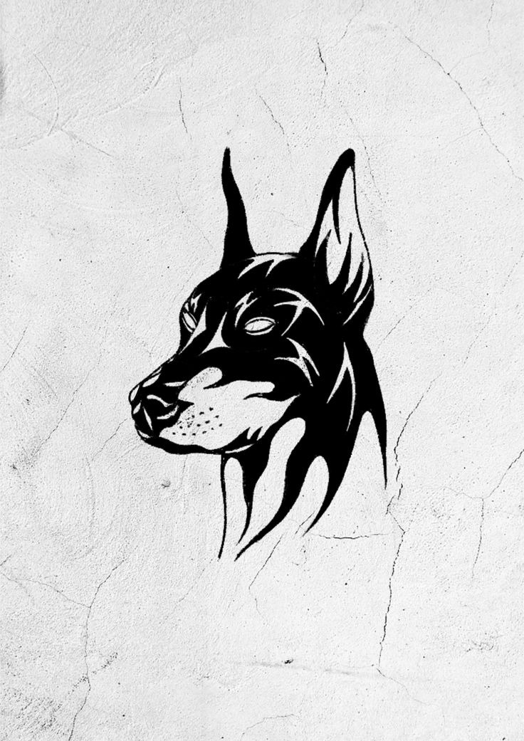 Bold graphic Doberman tattoo flash