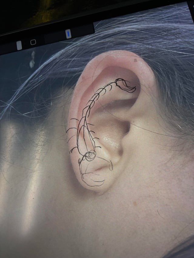 Delicate Scorpion Ear Tattoo Sketch
