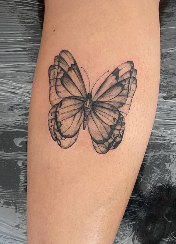 Detailed Shaded Butterfly Art