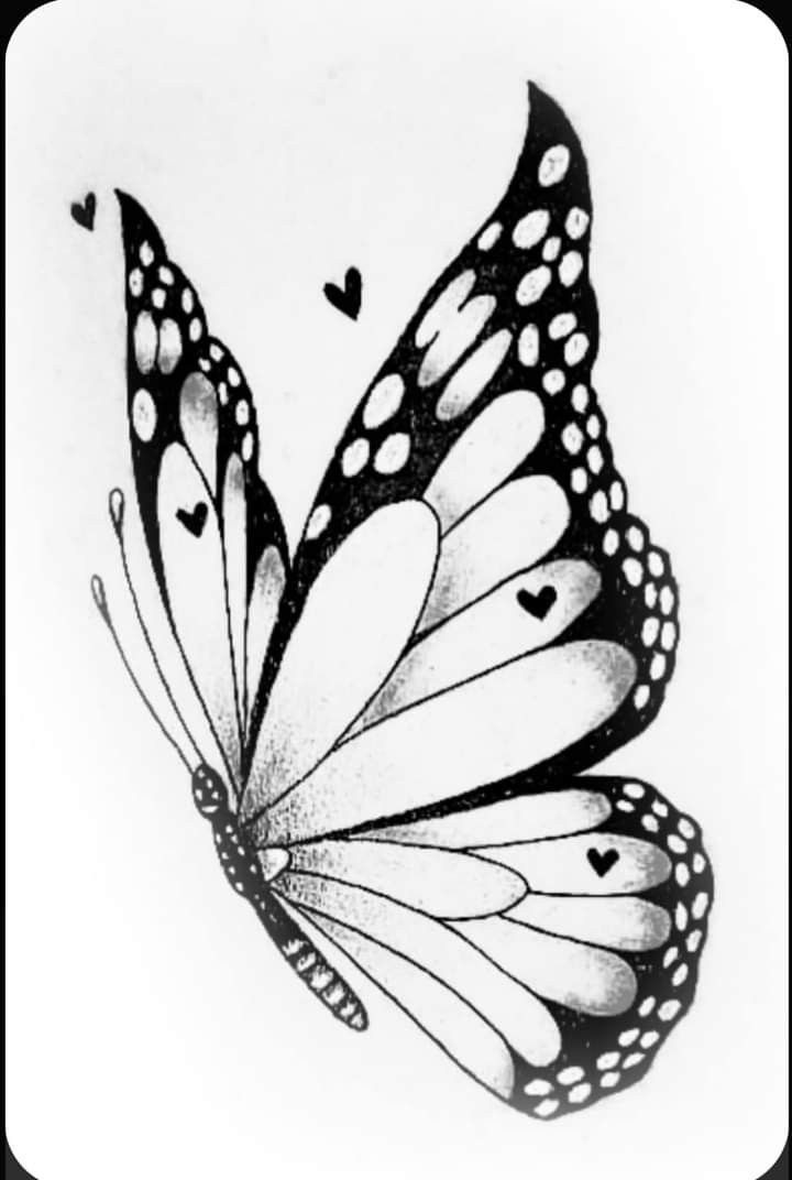 Detailed Butterfly Tattoo Illustration
