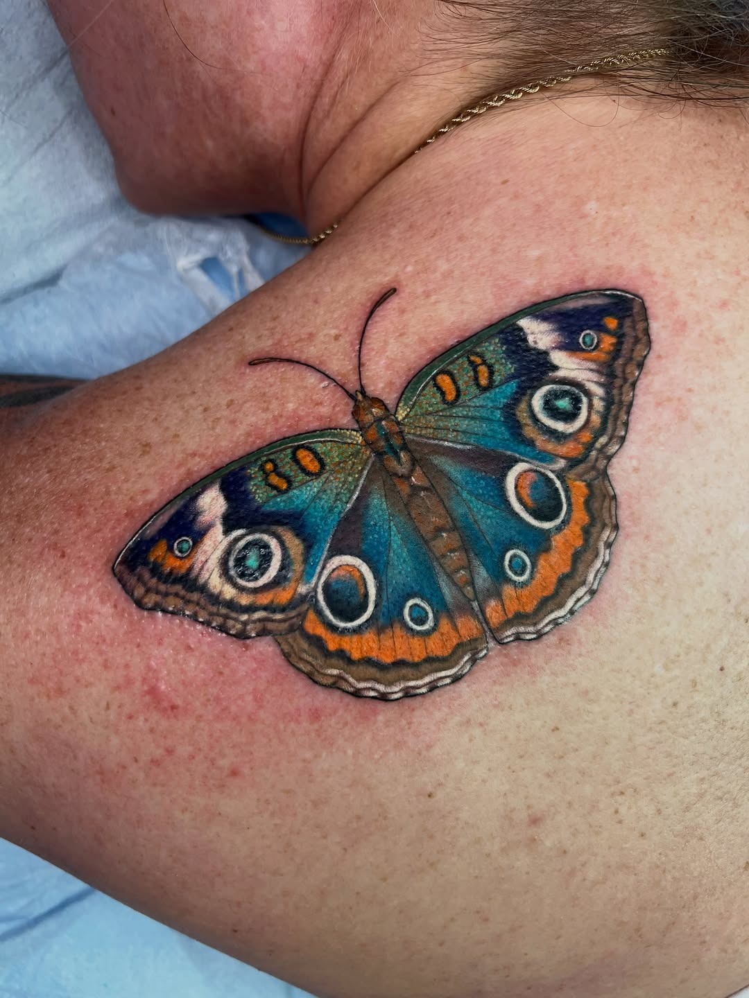 Vibrant Realistic Butterfly Tattoo