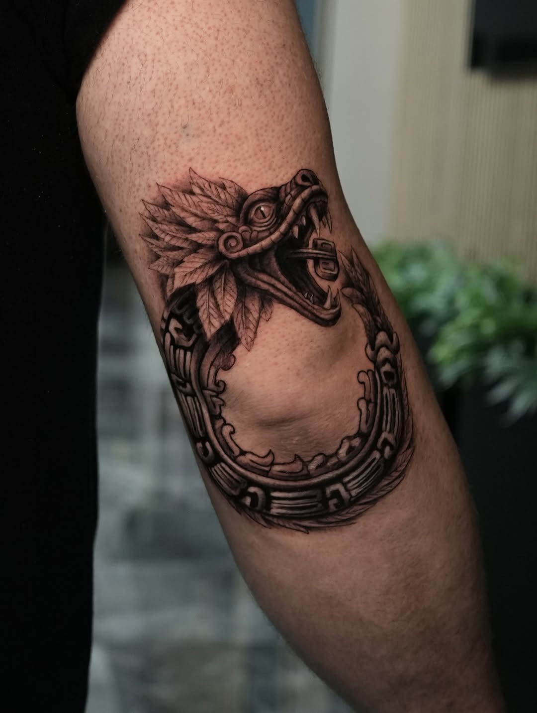 Feathered Serpent Elbow Design