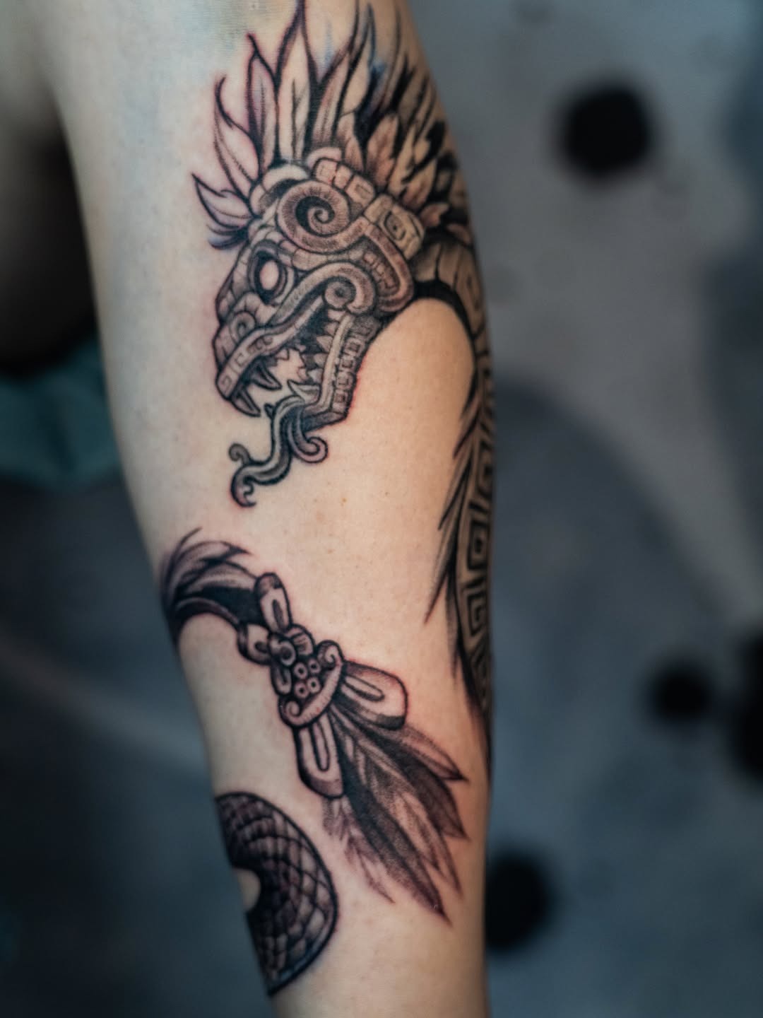 Clean Feathery Serpent Outline