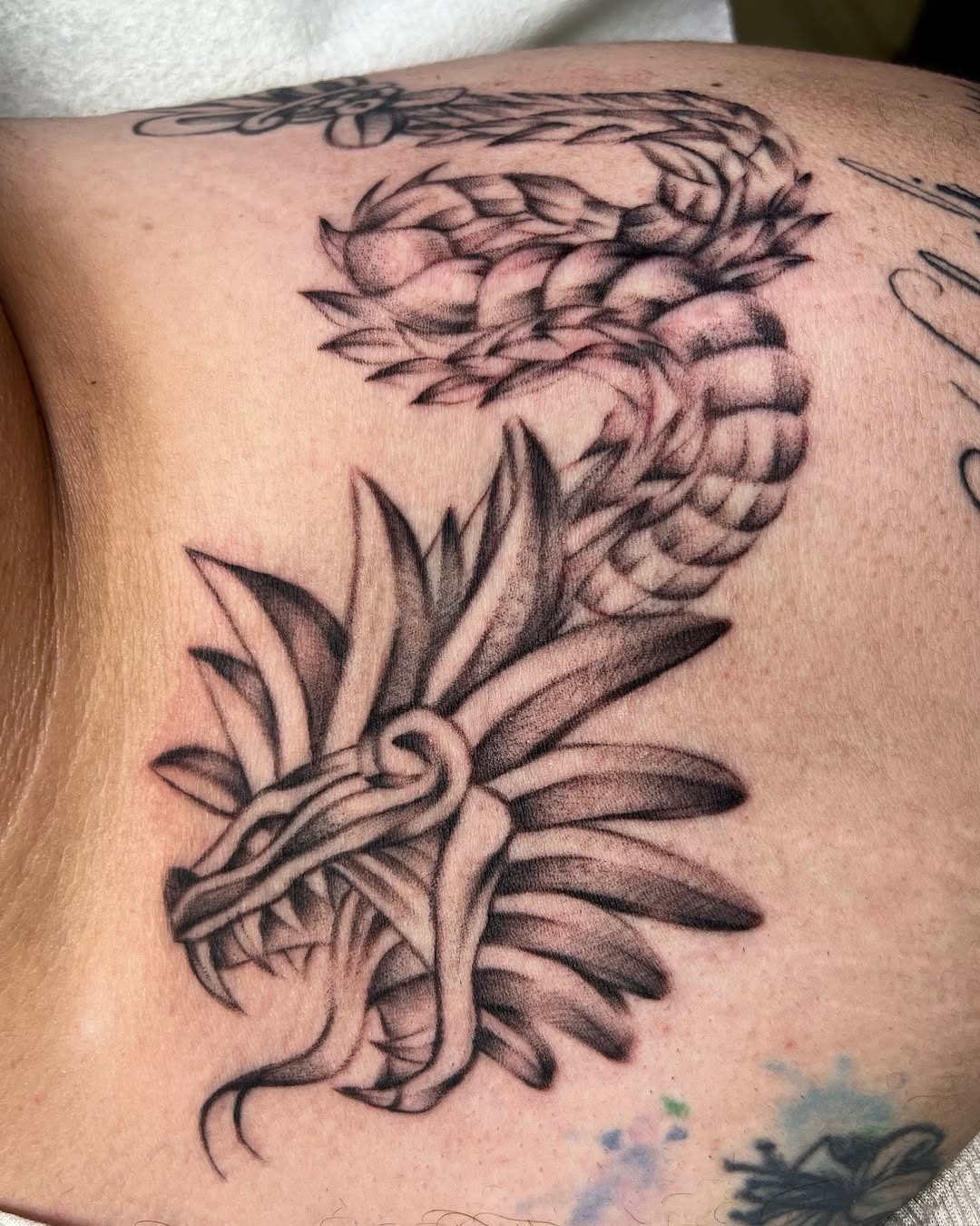 Detailed Feathered Serpent Tattoo Design