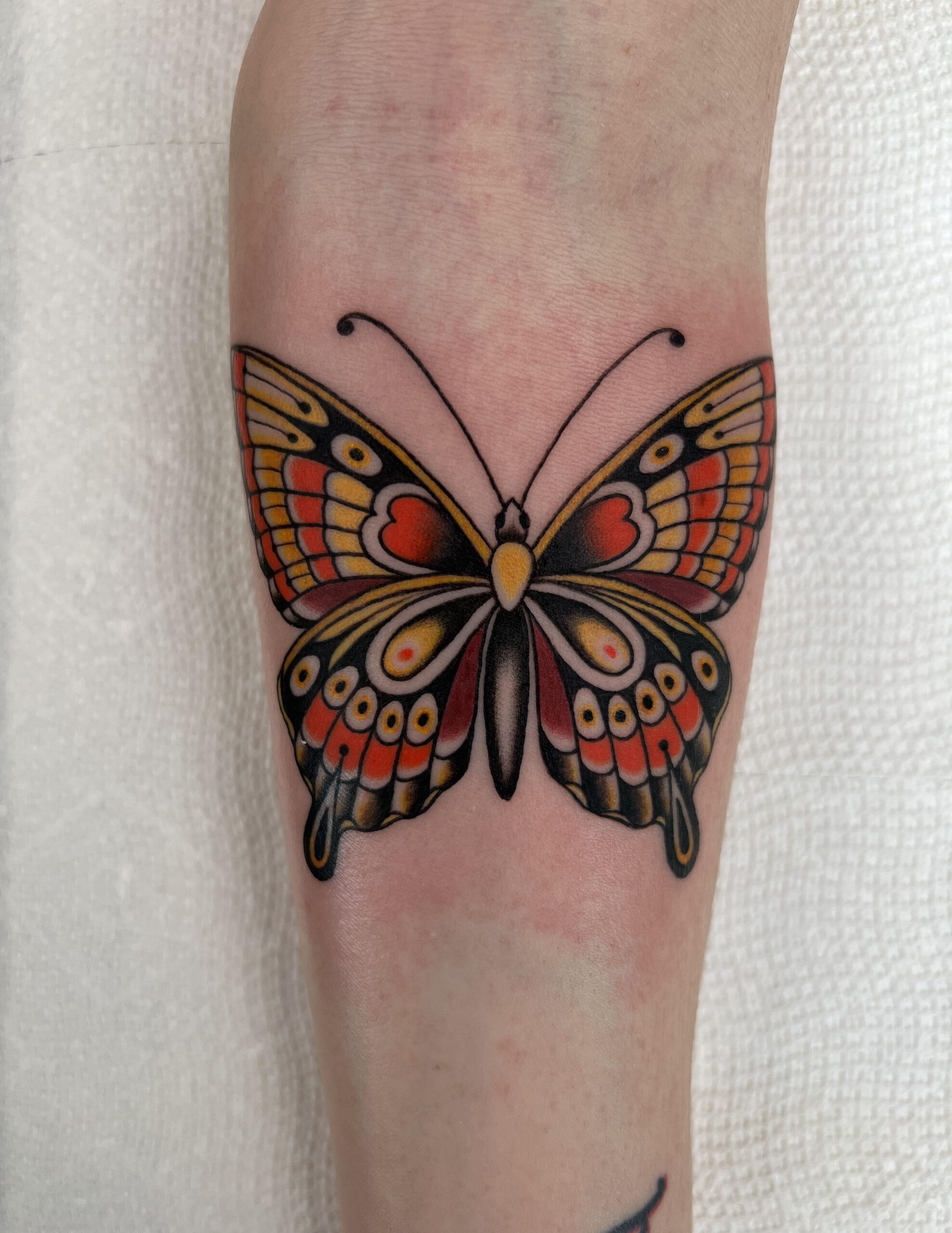 Bold Classic Butterfly Tattoo Design