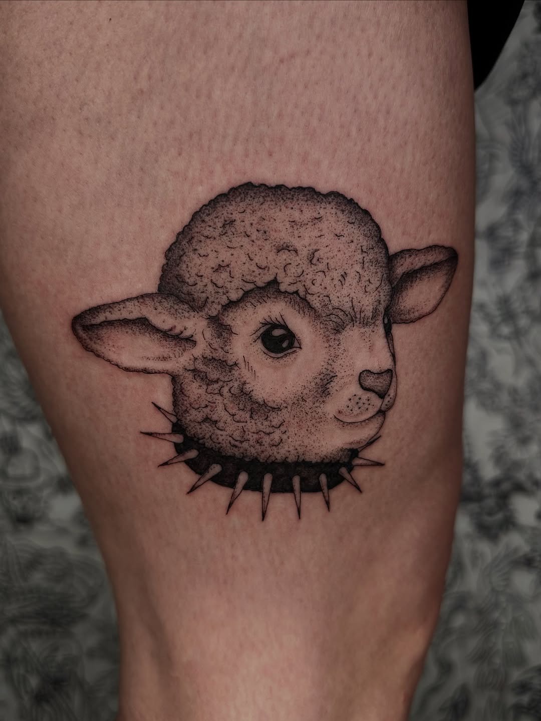 Lamb Tattoo with Spiked Collar
