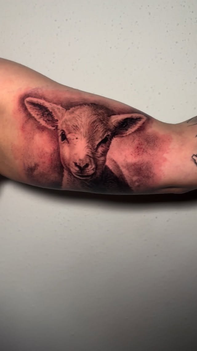 Detailed Lamb Portrait Tattoo