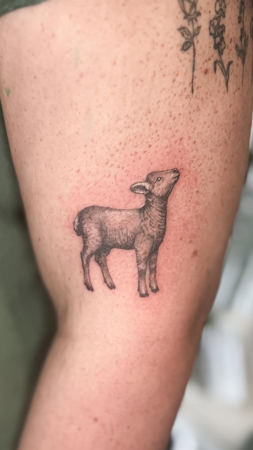 Cute Minimalist Lamb Tattoo