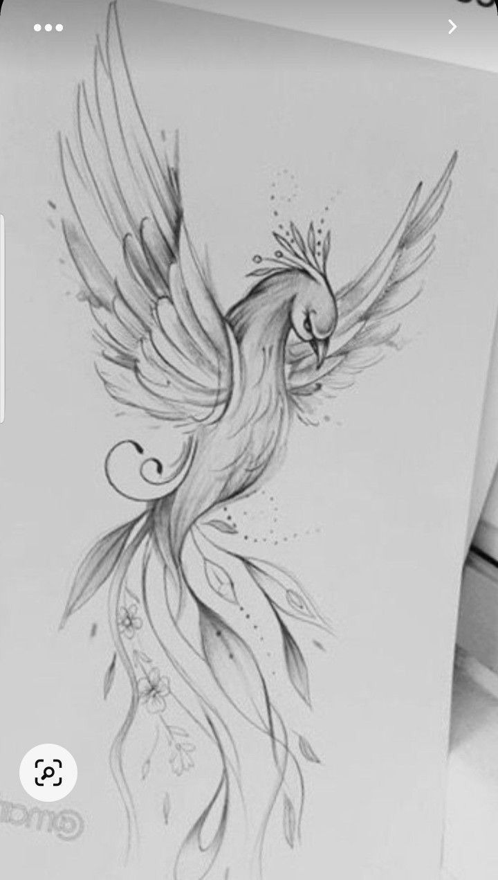 Delicate Phoenix Tattoo Sketch