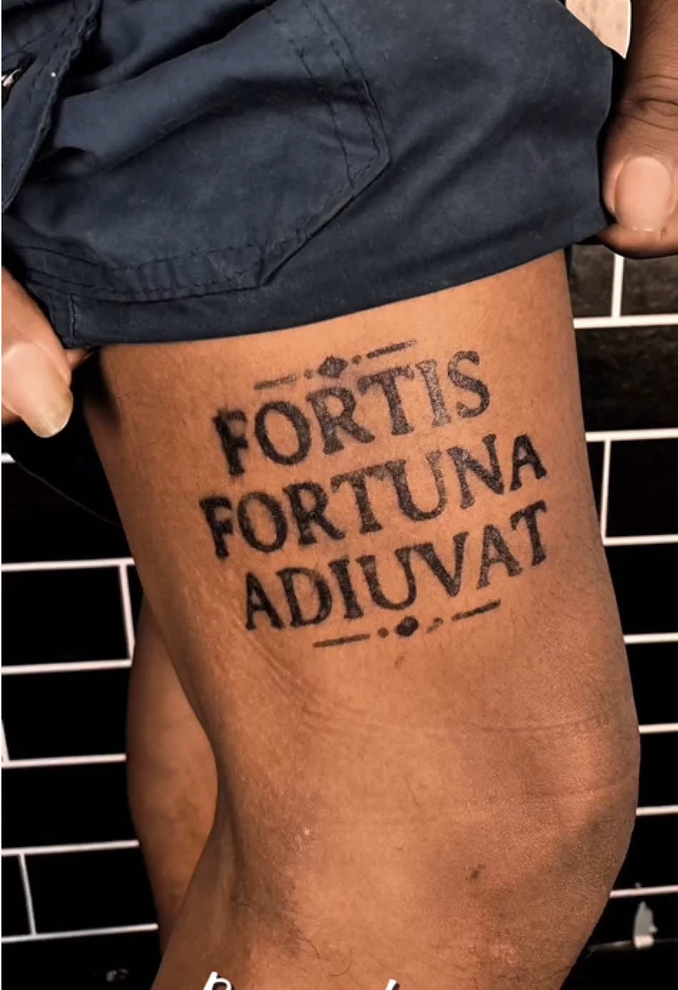 Classic Serif Fortis Fortuna Adiuvat Script