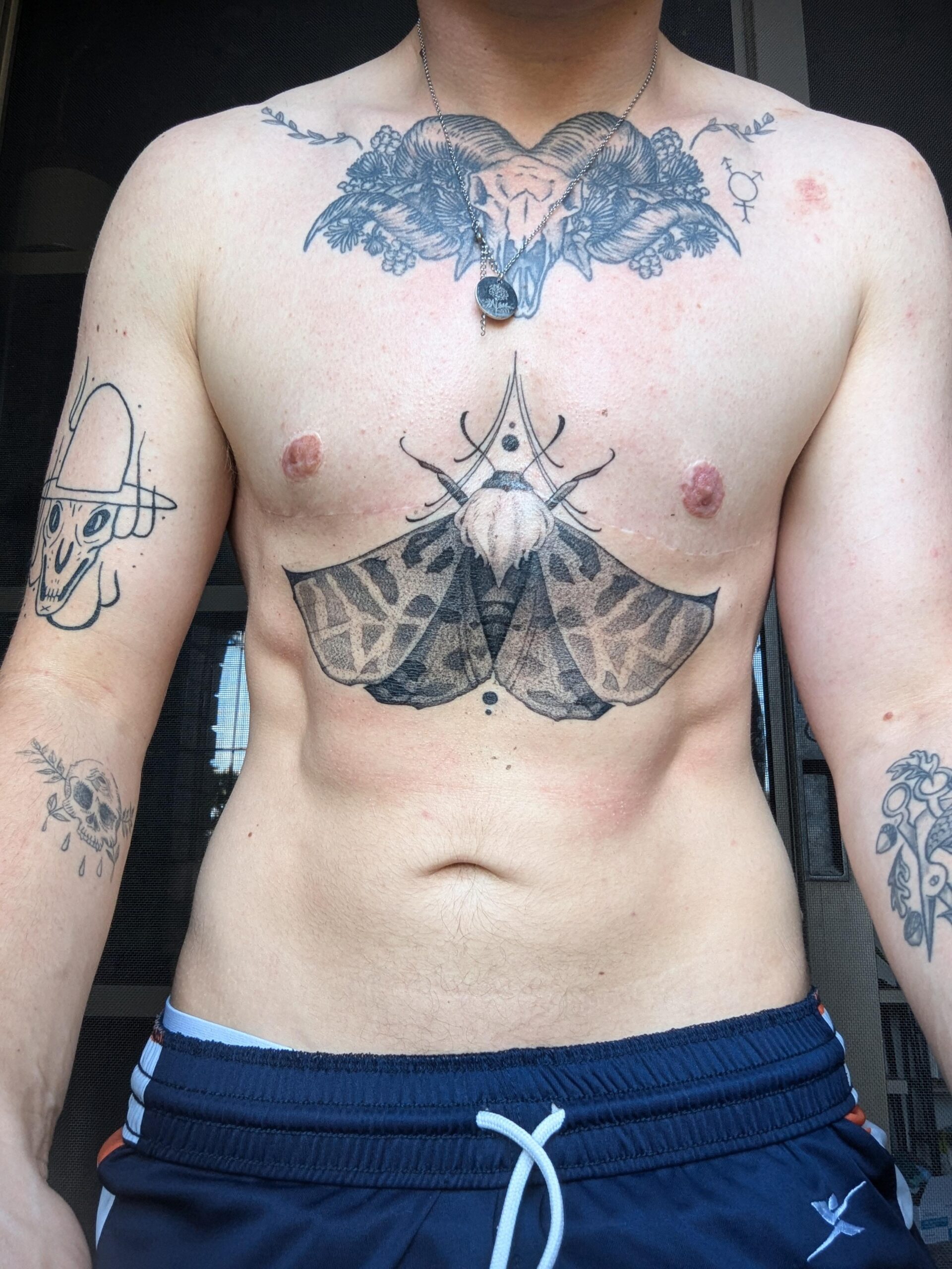 Moth and symmetry chest ink