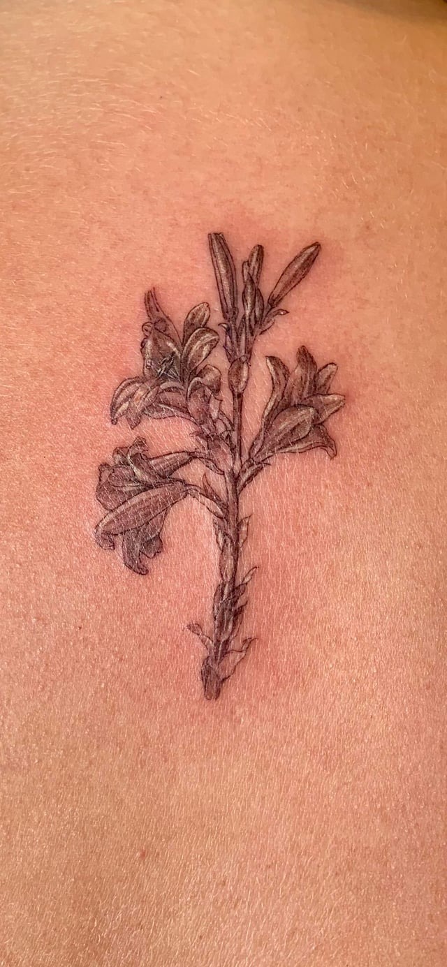 Delicate Botanical Fine-Line Tattoo