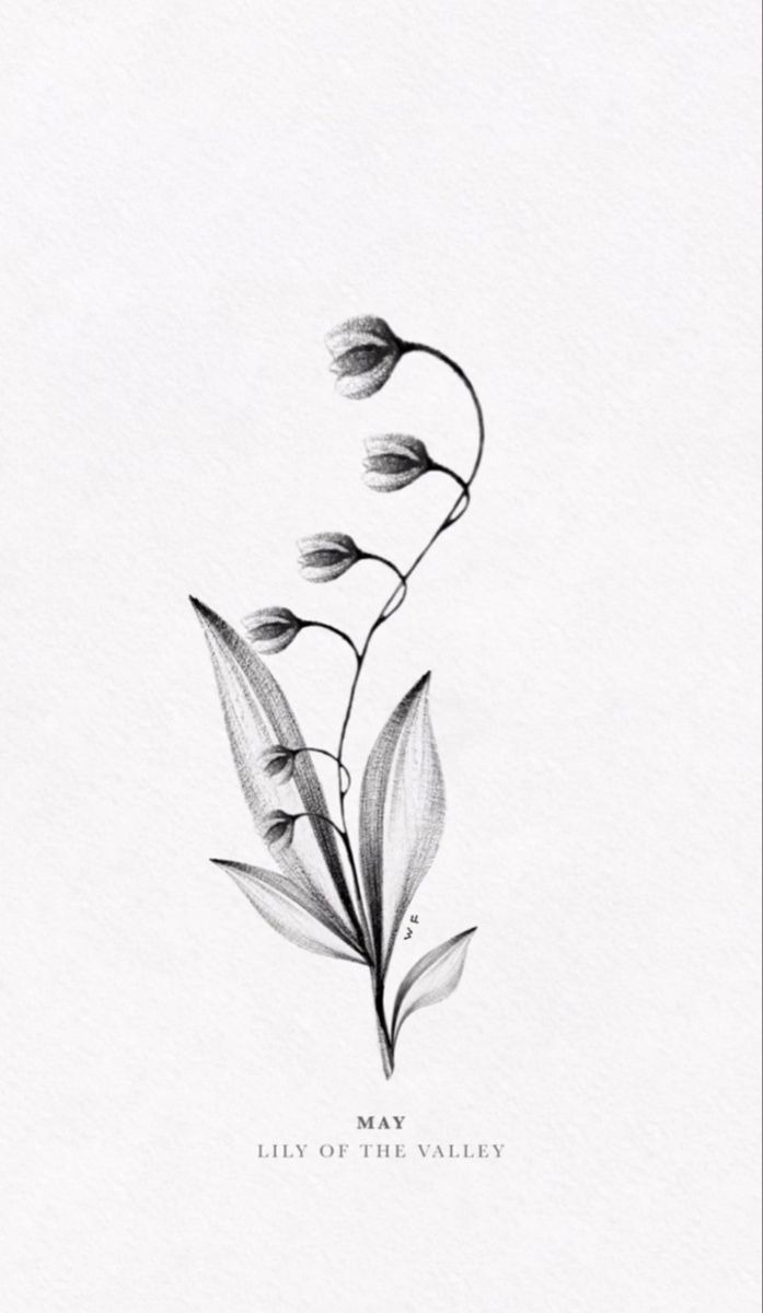 Delicate May Birth Flower Tattoo Sketch