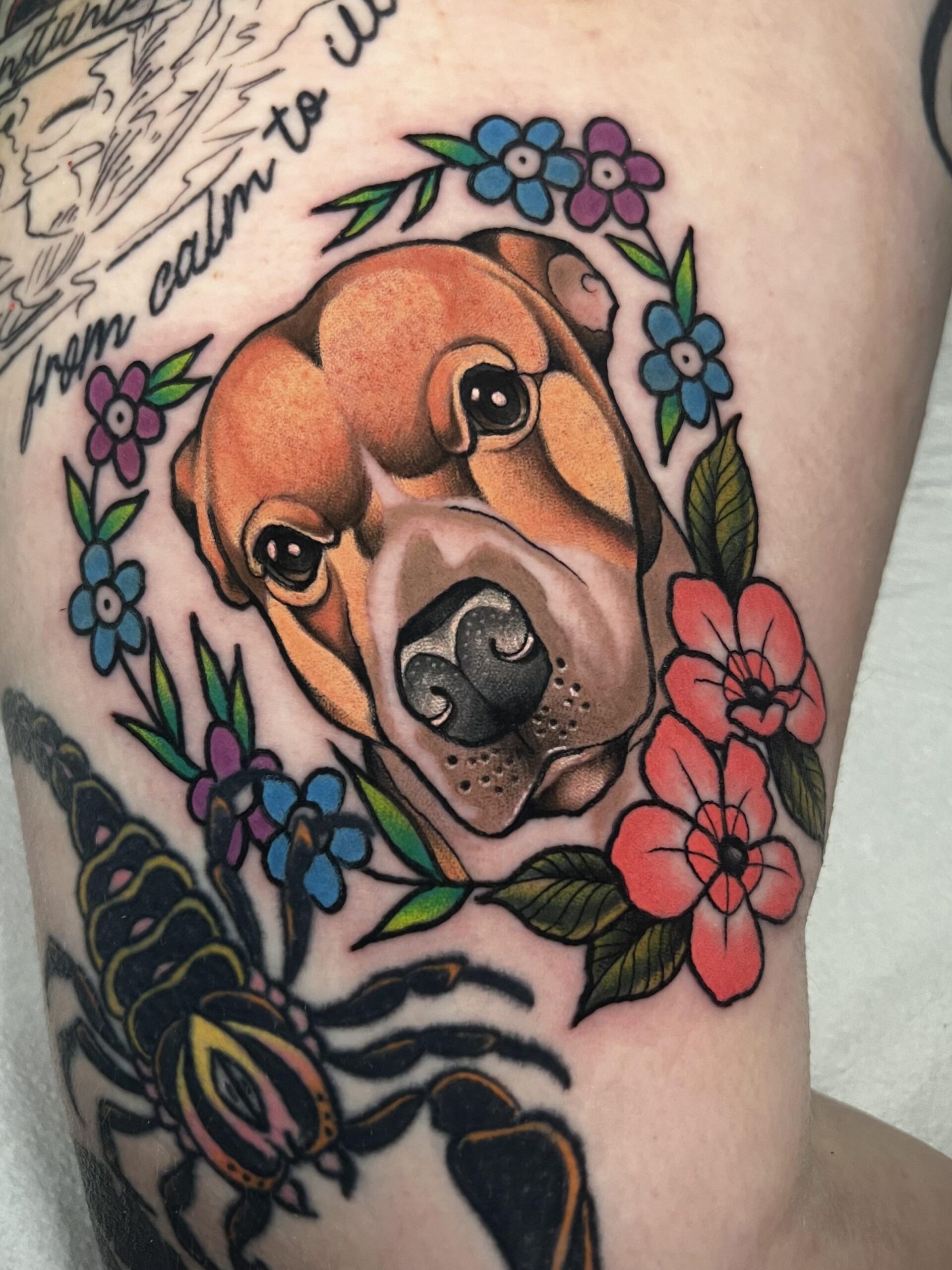 Vibrant Neo-Traditional Pet Portrait