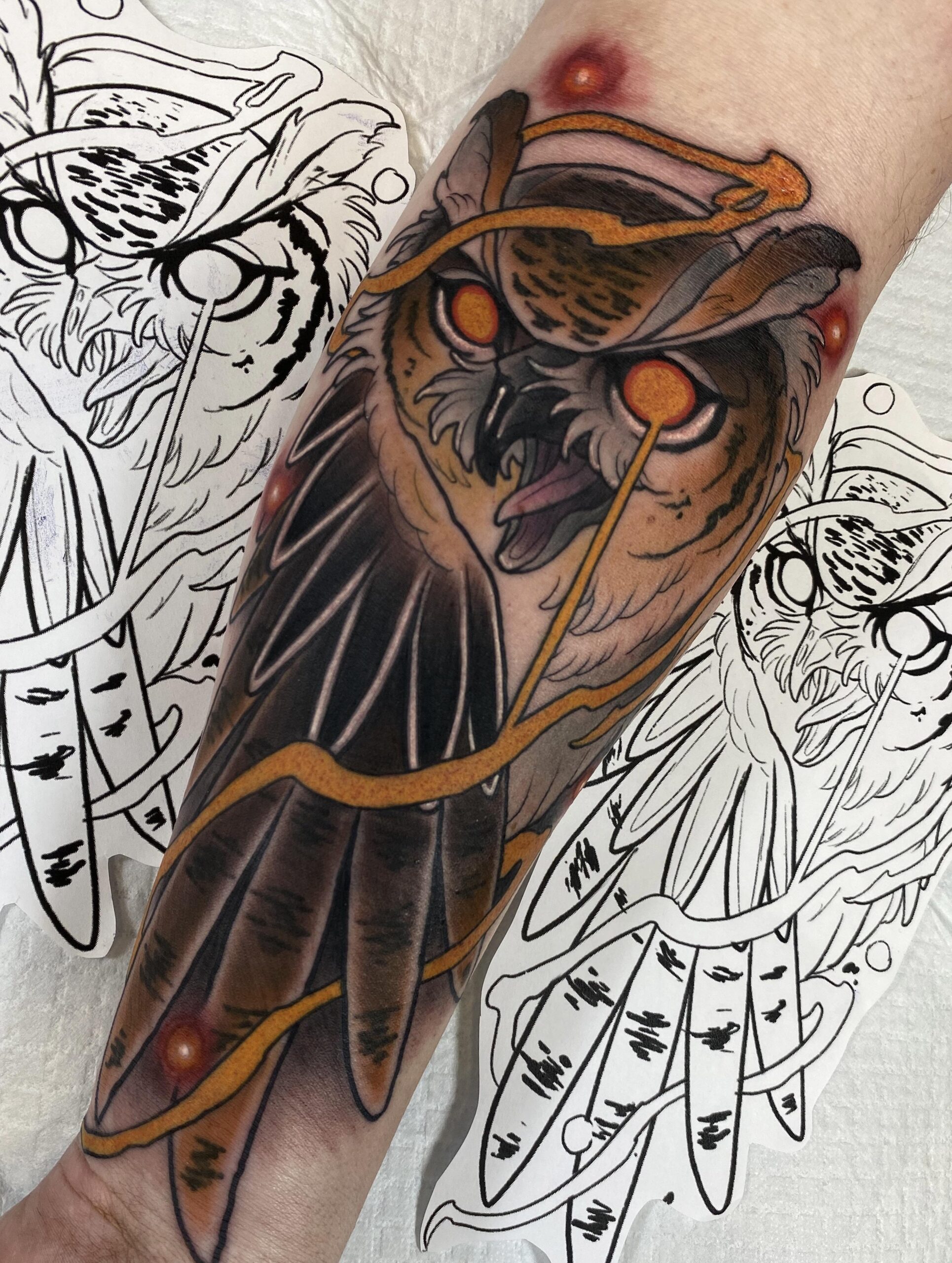 Dynamic Owl Design Concept